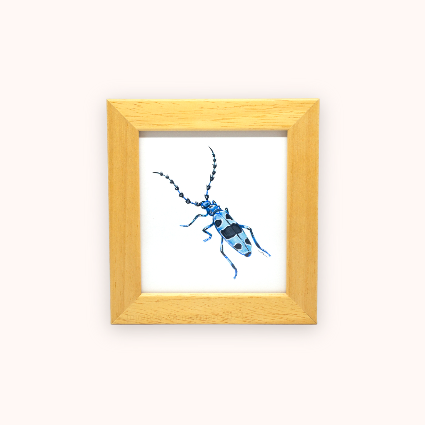 Alpine Longhorn Beetle ✦ Framed Illustration