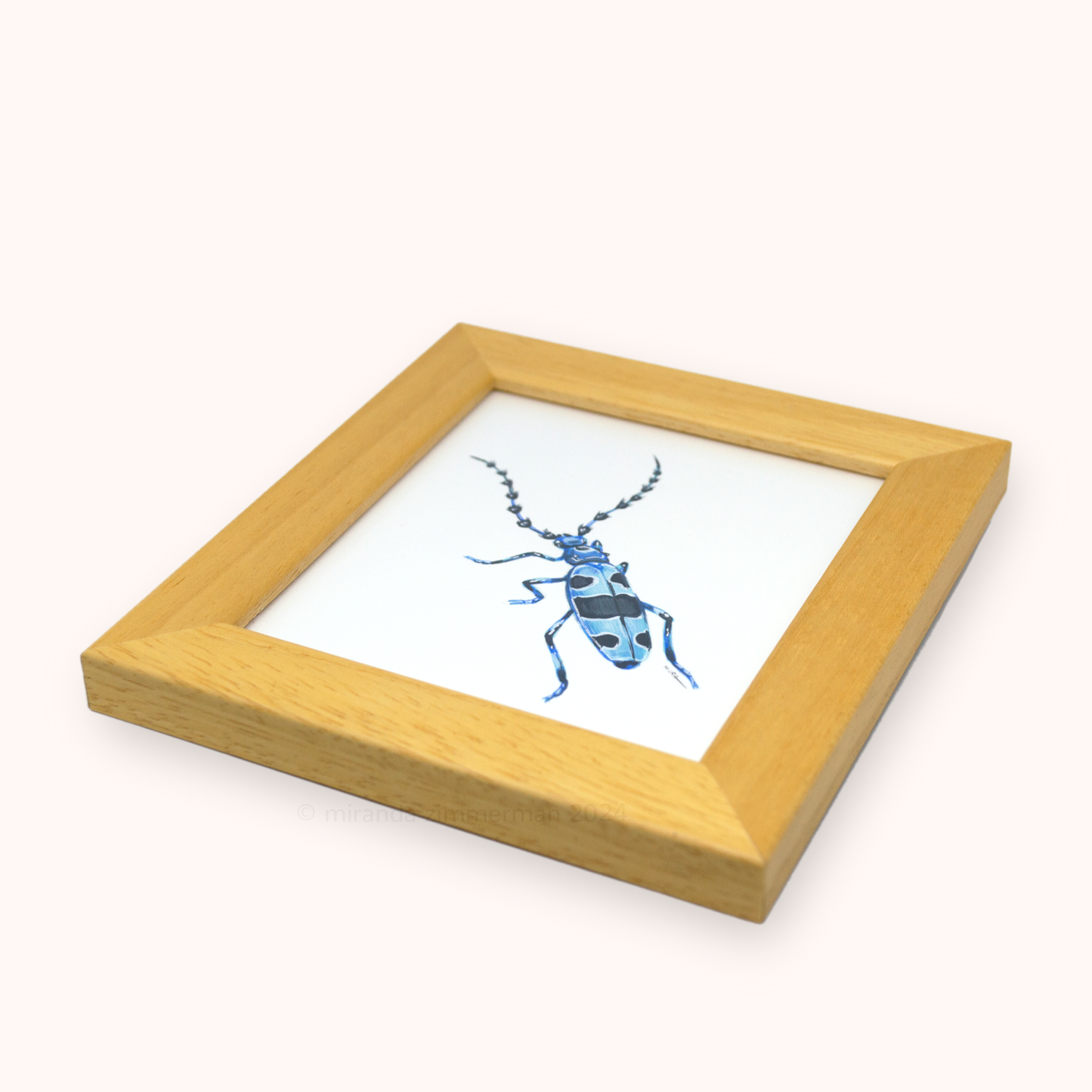 Alpine Longhorn Beetle ✦ Framed Illustration