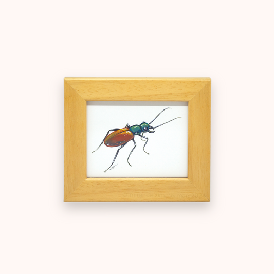 Festive Tiger Beetle ✦ Framed Illustration