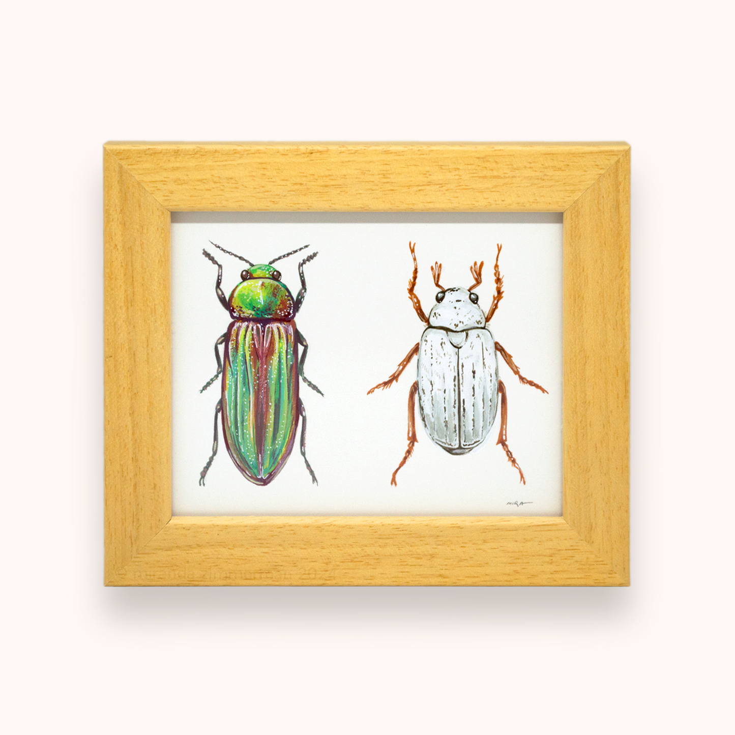 Golden Buprestid & White Scarab ✦ Framed Illustration