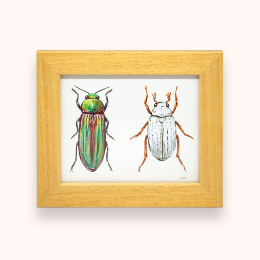 Golden Buprestid & White Scarab ✦ Framed Illustration