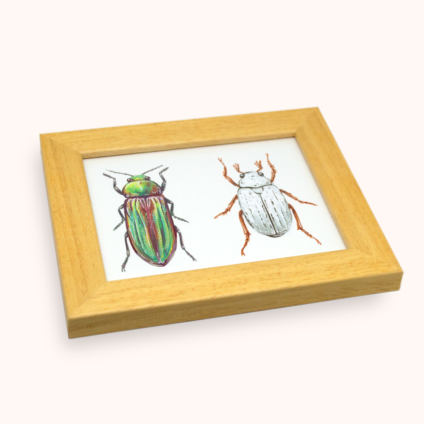 Golden Buprestid & White Scarab ✦ Framed Illustration